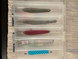 Forellen Schlepplöffel Set #9
