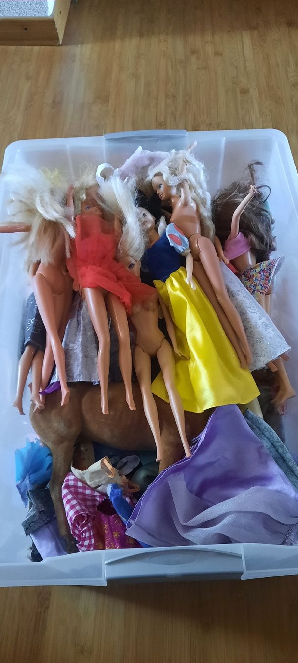Bambole: Barbies und Zubehör – Usato da Inkwil venduto da Patmei0 3
