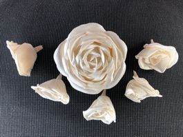 6 Deko Rosen Eierschalen