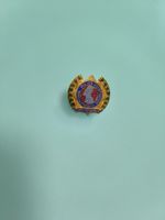 pin's IPA Police association internationale