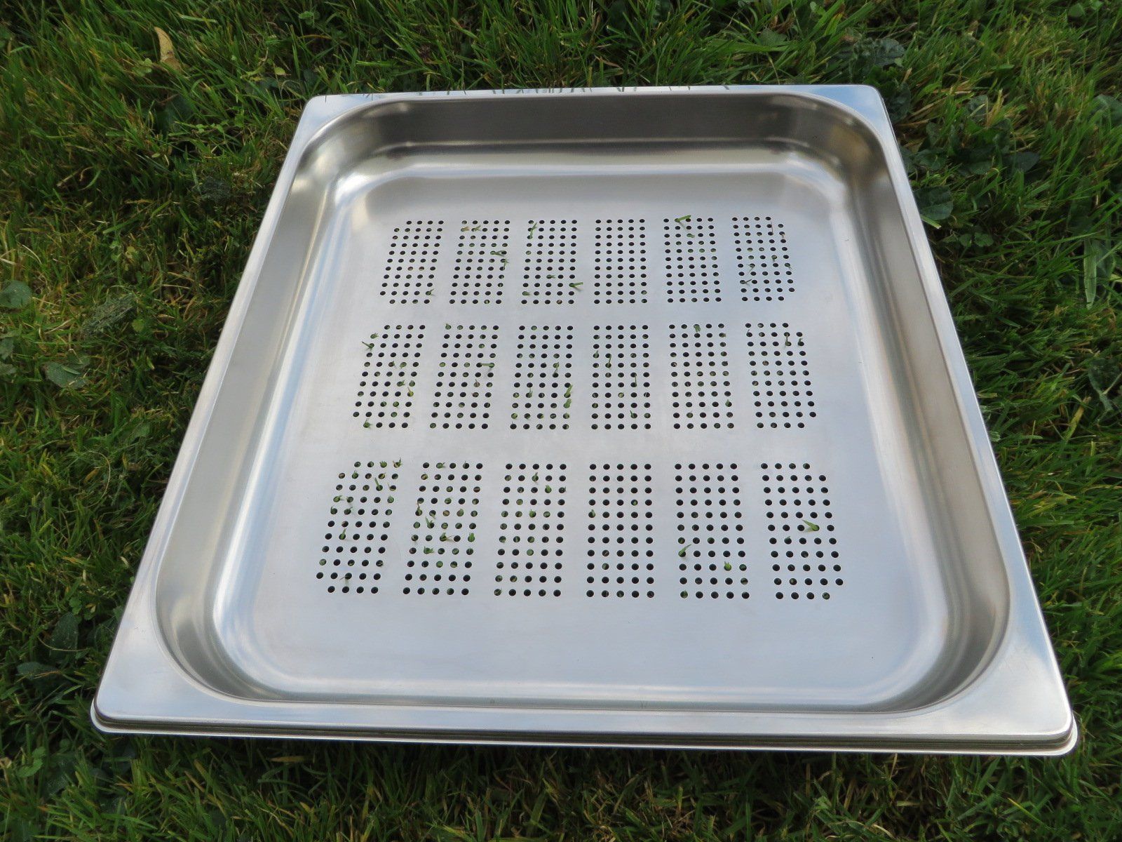 Elettrodomestici da cucina: Steamerblech Inox Nr. 7 – Usato da Laupen ZH venduto da Mcafi02
