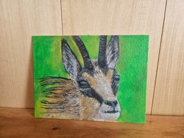 Acrylbild_Gemse