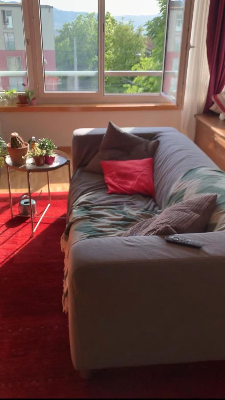 Ikea Sofas: IKEA Klippan 2er-Sofa, grau – zu verschenken – Gebraucht aus Zürich von luk_5n5w 1