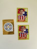 Panini: PAR 1,PAR 11,PAR 15