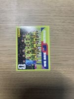 Panini FIFA WC AUS 13