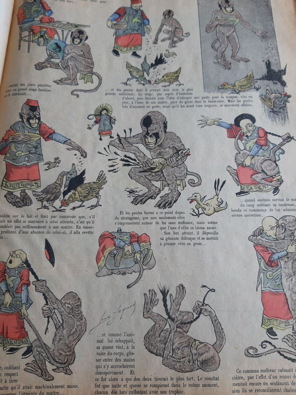 Libri: Livre dimages – Usato da Aigle venduto da Calcicole 4