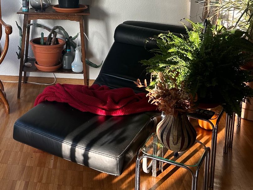 Chaises longues: Relaxliege aus Leder – D'occasion à Zürich par gesca 1