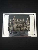 Panini UEFA EM 2008 Sticker - Nr. 524