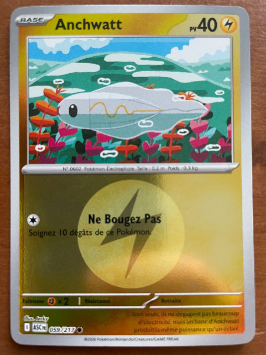 Pokémon Carte collezionabili: Pokemon Anchwatt Reverse (Versand gratis) – Nuovo (secondo la descrizione) da Chur venduto da Angerson