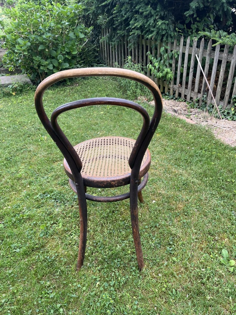 Thonet Sedie: Wienerstuhl – Usato da Wabern venduto da Manulelitta1960 1