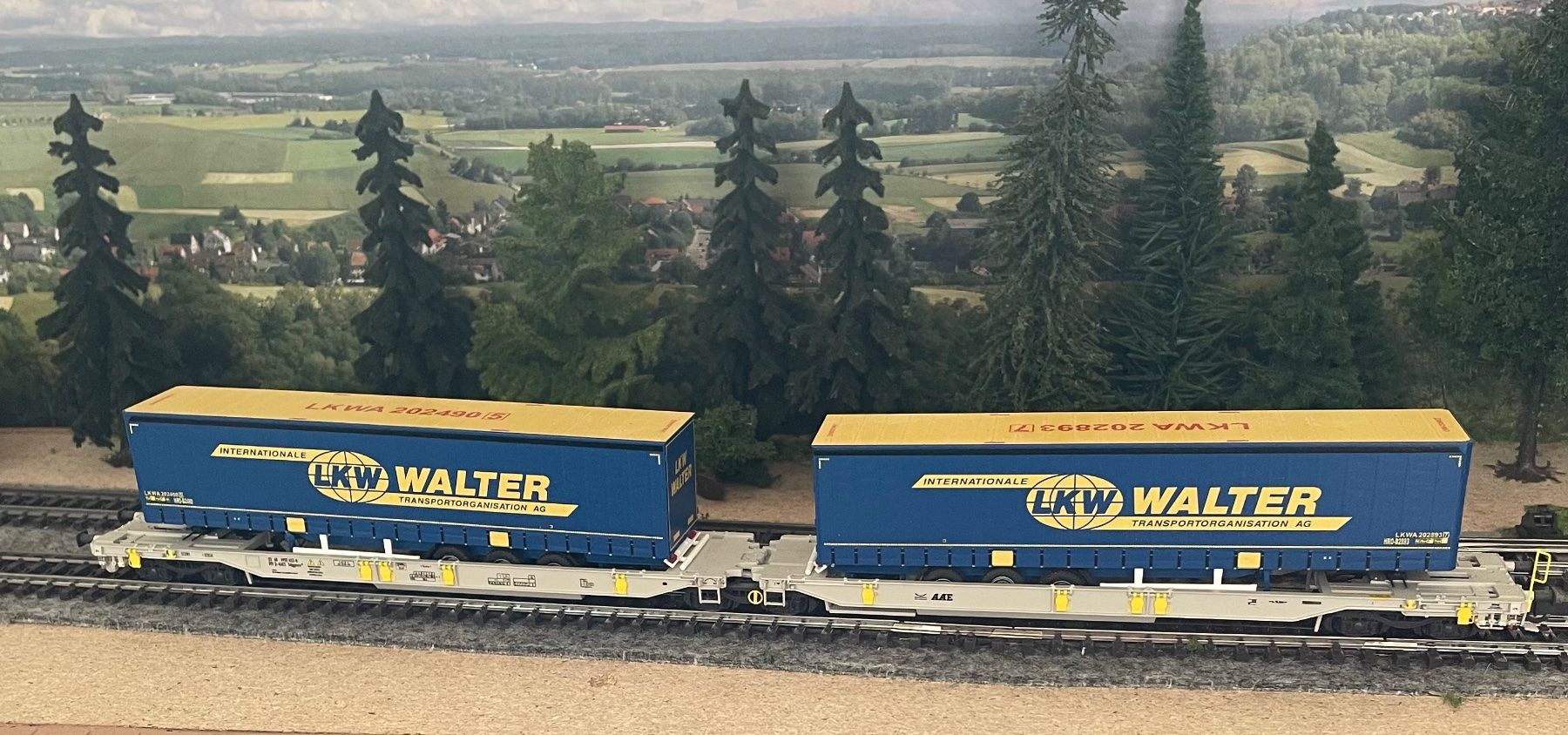 Roco Modellini di ferrovie: Roco 75905 Doppeltaschenwagen "LKW Walter" – Usato da Blumenstein venduto da Ritschi