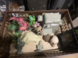 Terrarium Zubehör
