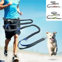 ✅ NEU Jogging Leine für Hunde mit D-Ring