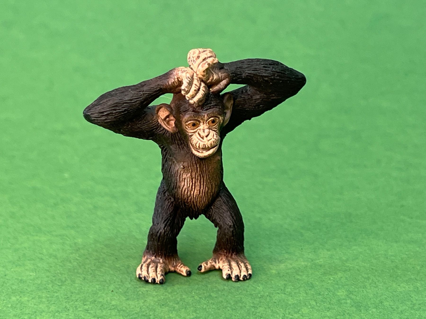 Schleich Statuette: Schleich 14680 Schimpansen-Junges Affe Schimpanse – Nuovo (secondo la descrizione) da Ennetbaden venduto da mapa05