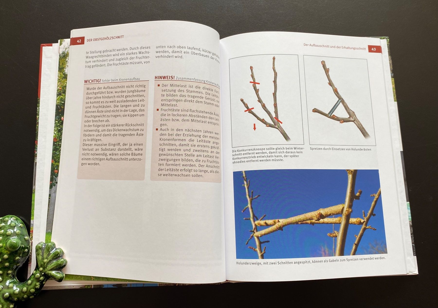 Libri: Hecken- Strauch- und Obstbaumschnitt – Usato da Nussbaumen AG venduto da schuba2000 4