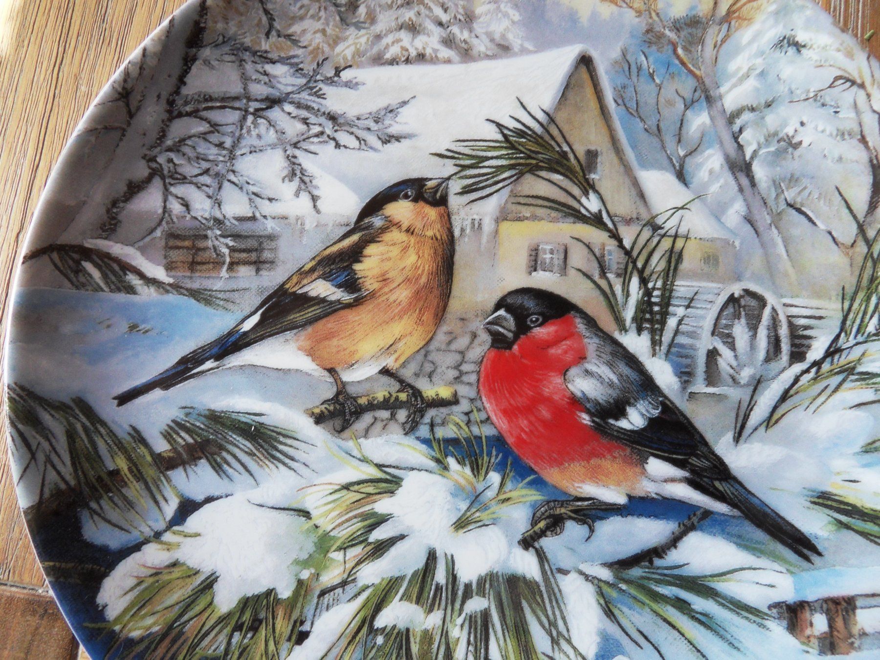 Piatti: Wand Teller – Usato da Schongau venduto da Eva-Katharina 1