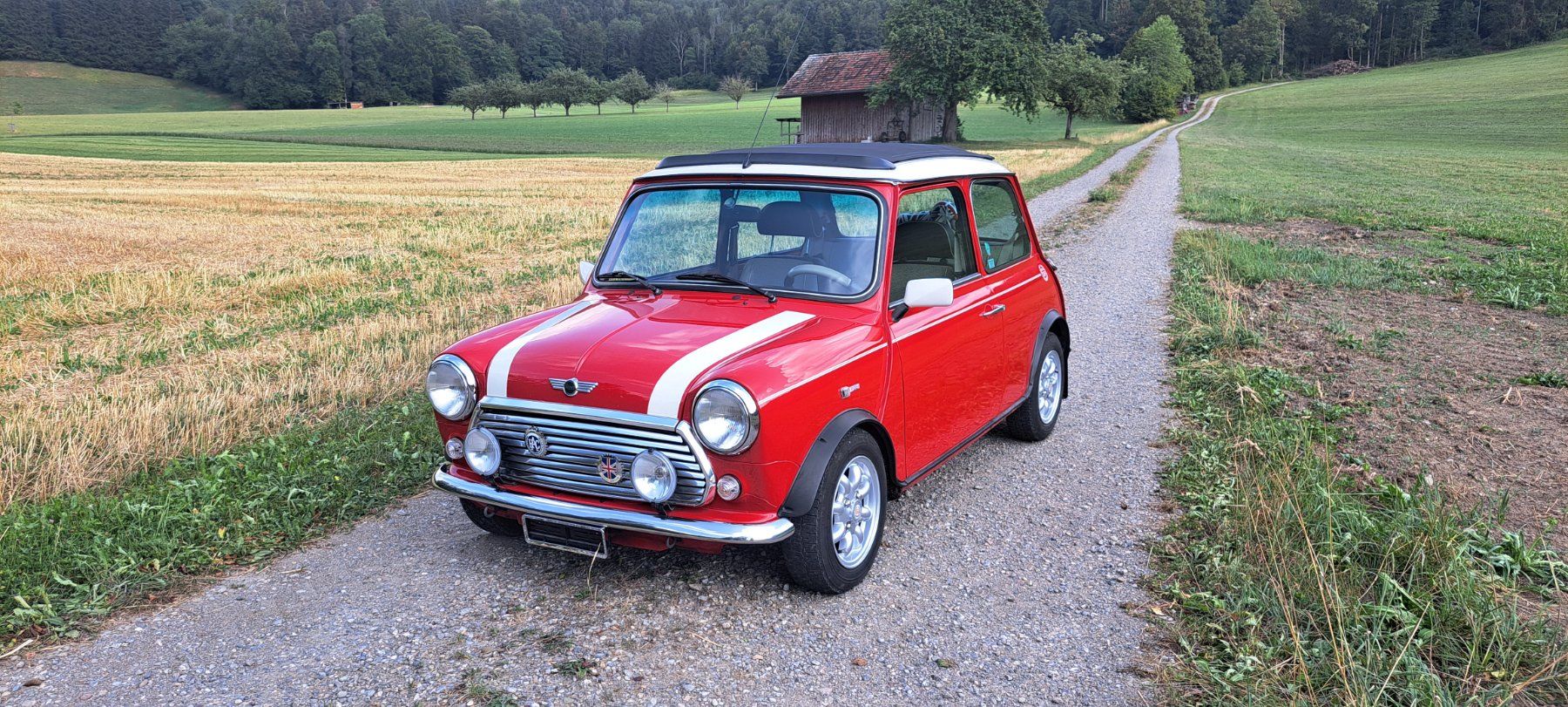 Rover Automobili: Mini Cooper Rover 1.3i – Usato da Dussnang venduto da sch_ffs6