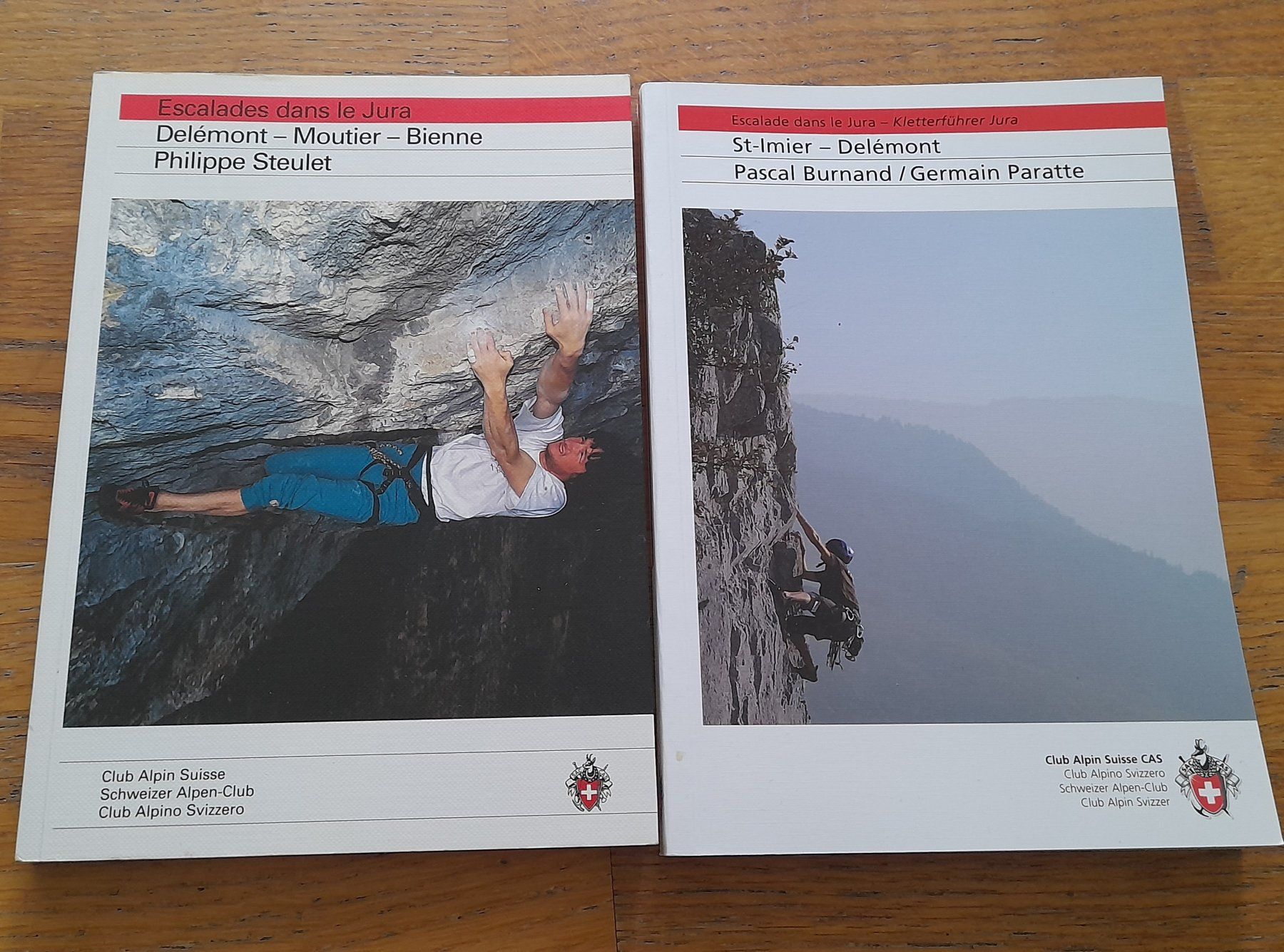Libri: Kletterführer Jura Set – Usato da Richigen venduto da lis_qql9