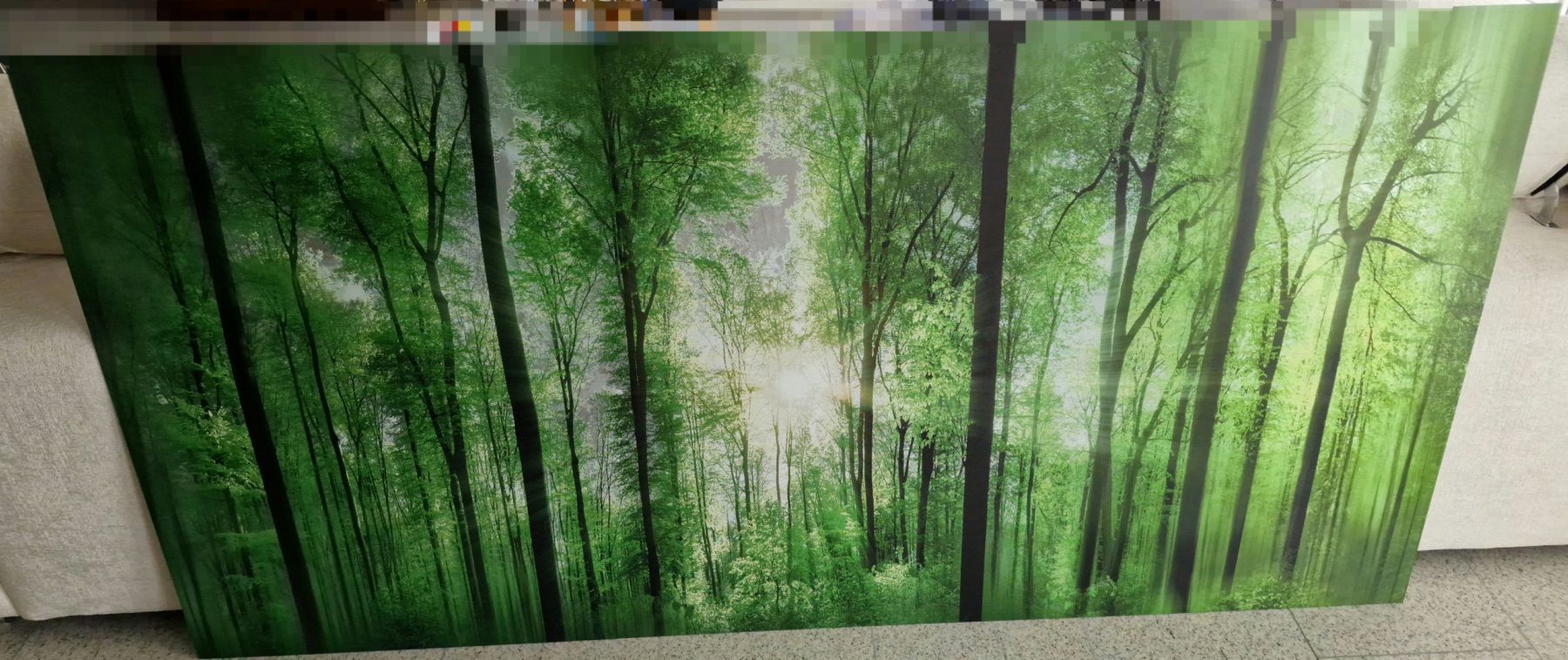 Poster & Bilder: Wald-Natur-Bild Aluprint, 200x98cm – Neu (gemäss Beschreibung) aus Root von AtschyFragrance 1