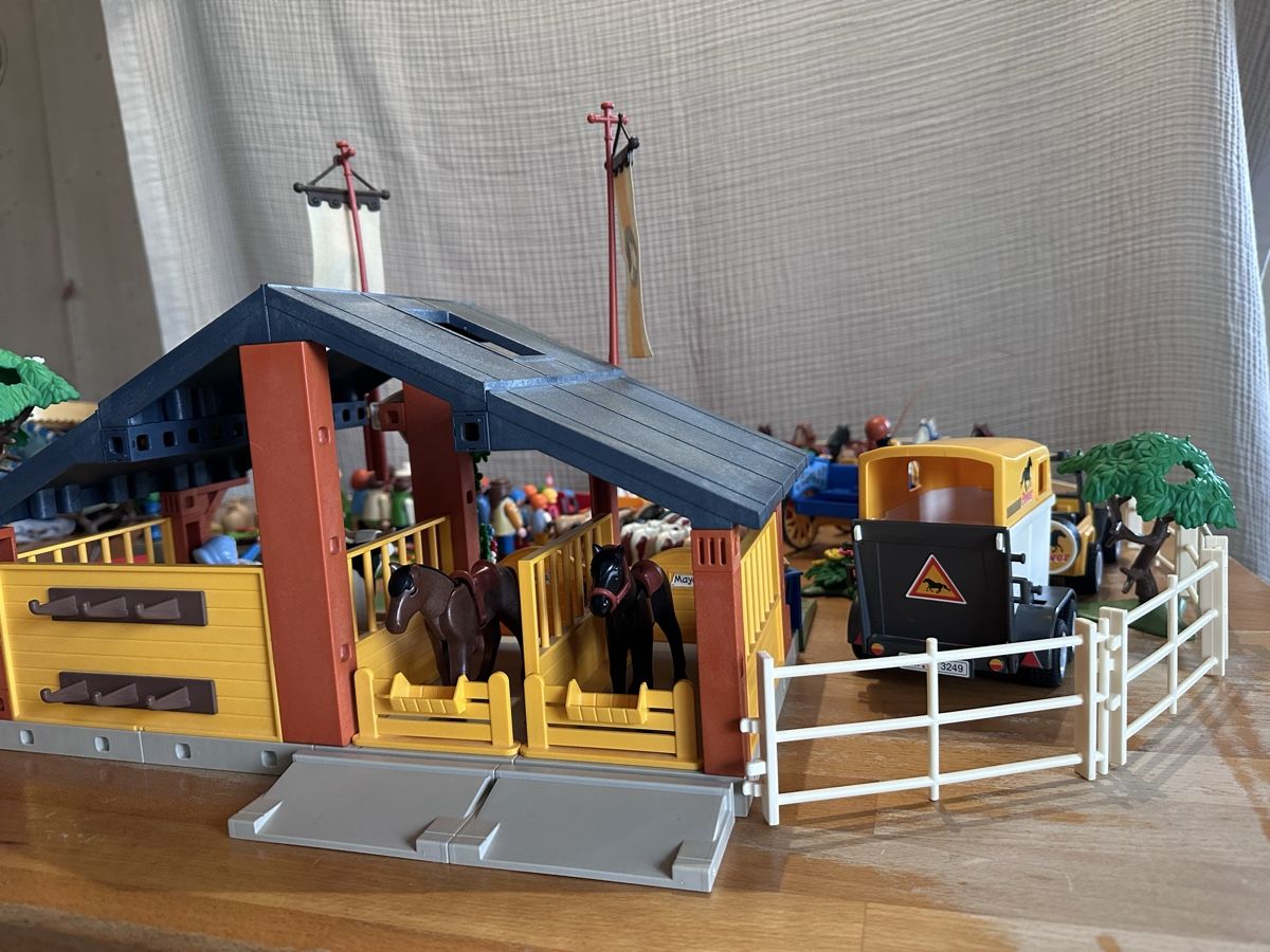 Playmobil Giocattoli: Ferme Playmobil – Usato da Les Acacias venduto da chl_f8bq 6