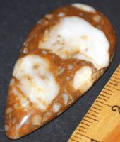Cabochon L-5315 – Rhyolith 42x21,5mm 40,80 Karat