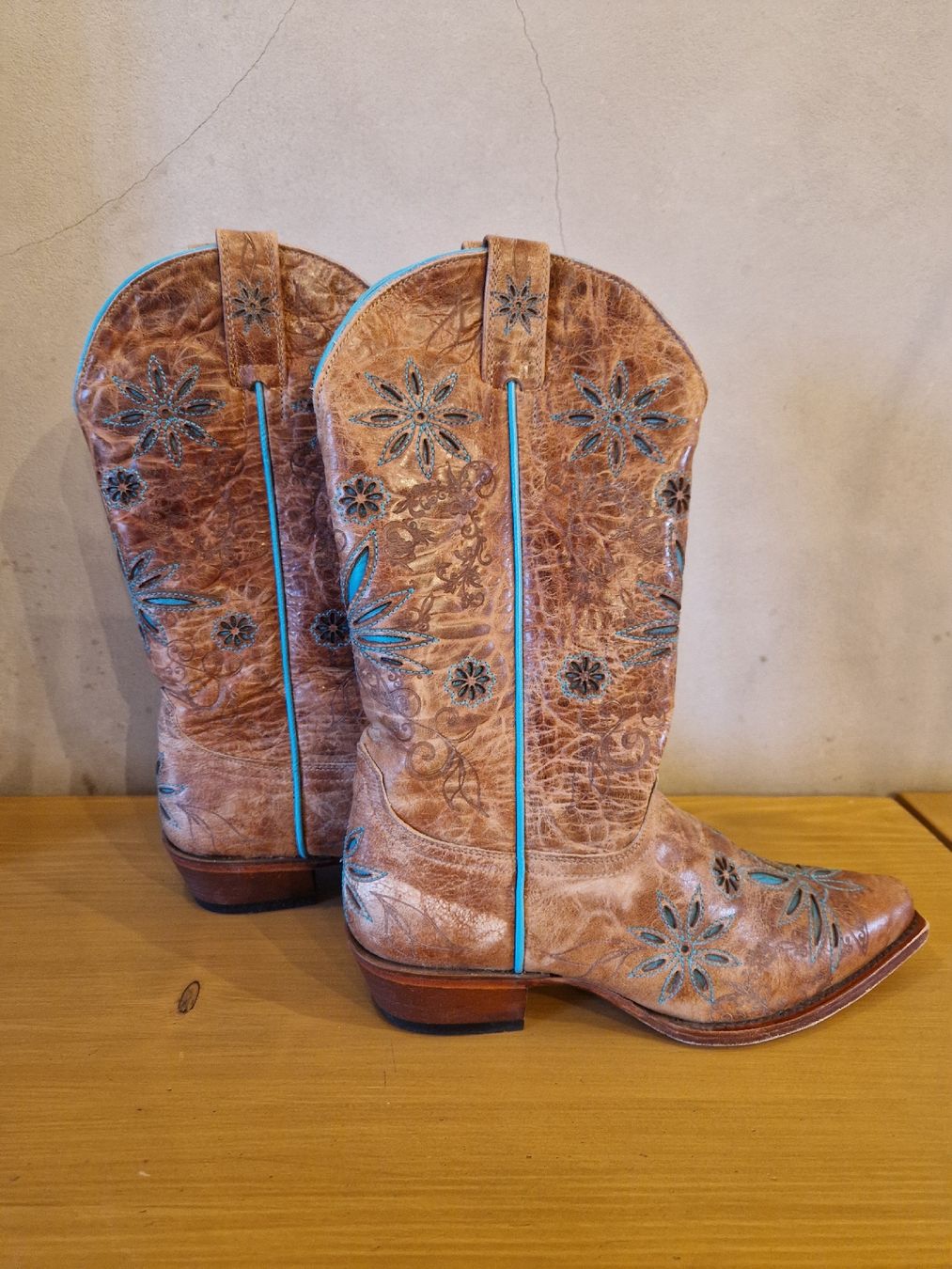 Chaussures femmes: Cowboy Boots – Neuf (Voir description) à Avenches par linse01