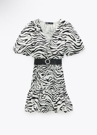 Zara Zebra Print Mini Dress, Black Belt