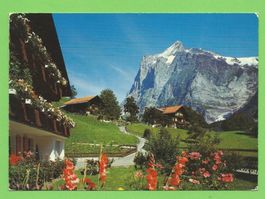 Grindelwald mit Wetterhorn