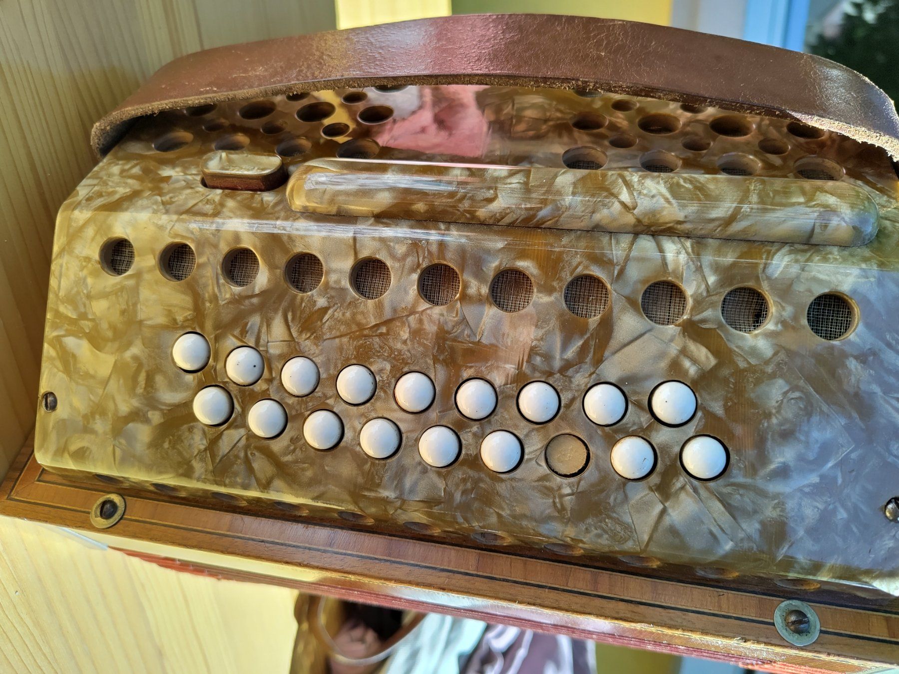 Strumenti musicali: Schwyzerörgeli Ernst Salvisberg, Merligen – Usato da Basel venduto da rihuber 8