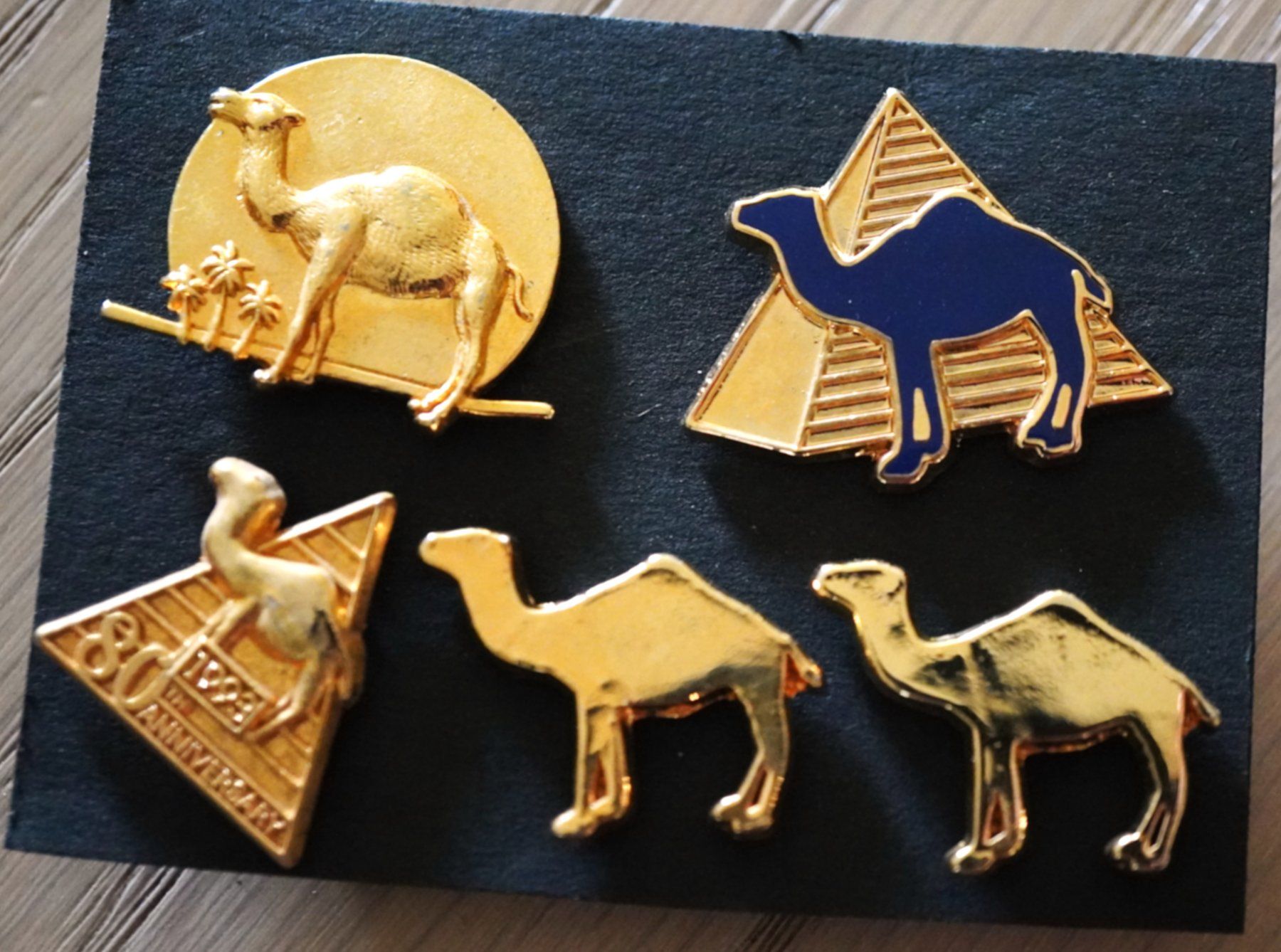 Camel Plaquettes & Badges: 5 Pin Camel – D'occasion à Worb par worb01