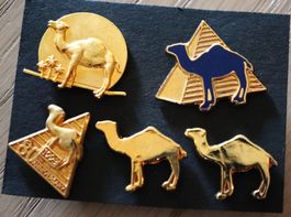 5 Pin Camel