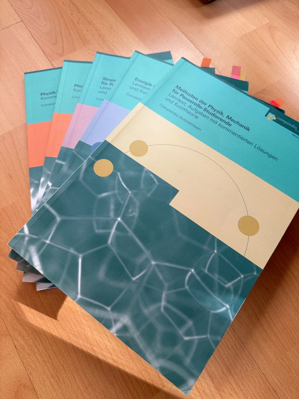 Libri: Passerelle Lehrmittel Physik (Compendio) – Usato da Pfäffikon ZH venduto da mar_69jp