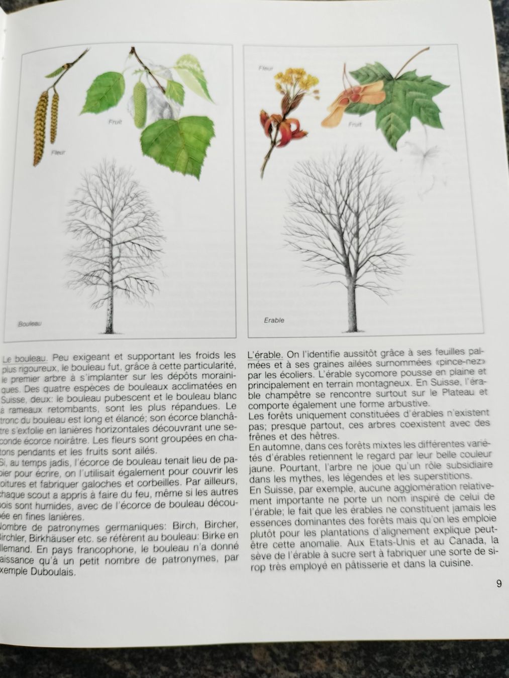 Libri: LA FORÊT Découvrez la forêt avec Silva – Usato da Cortaillod venduto da rozinna 2