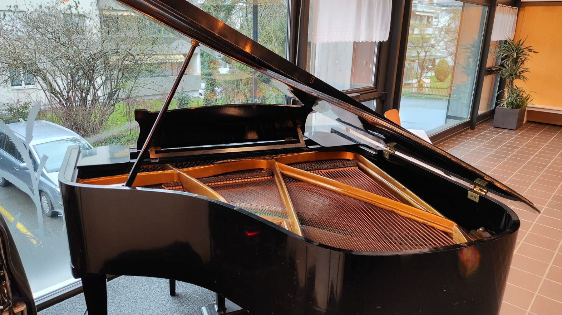 Strumenti musicali: Flügel Marquardt – Usato da Tägerwilen venduto da fel_l6vb 1