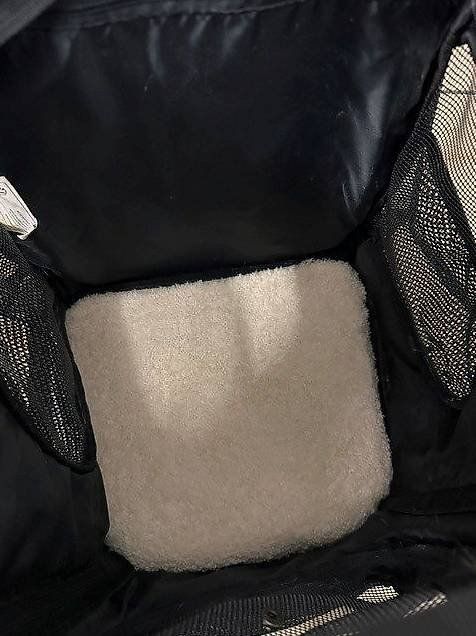 Cucce & Letti: Katzenrucksack – Usato da Zürich venduto da car_gtl6 3