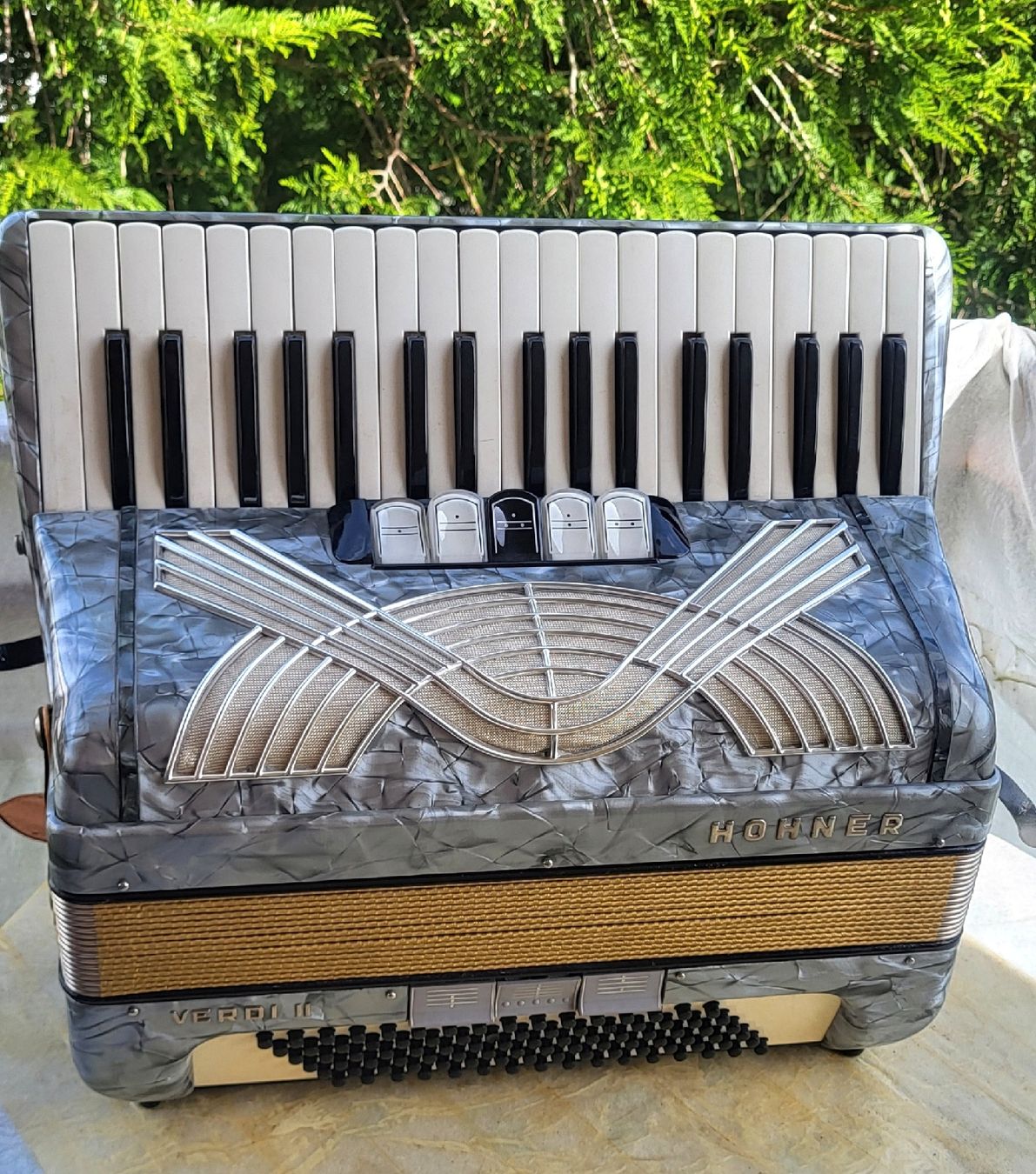 Hohner Strumenti musicali: Accordéon hohner Verdi II  – Usato da Penthalaz venduto da EvandroLuz