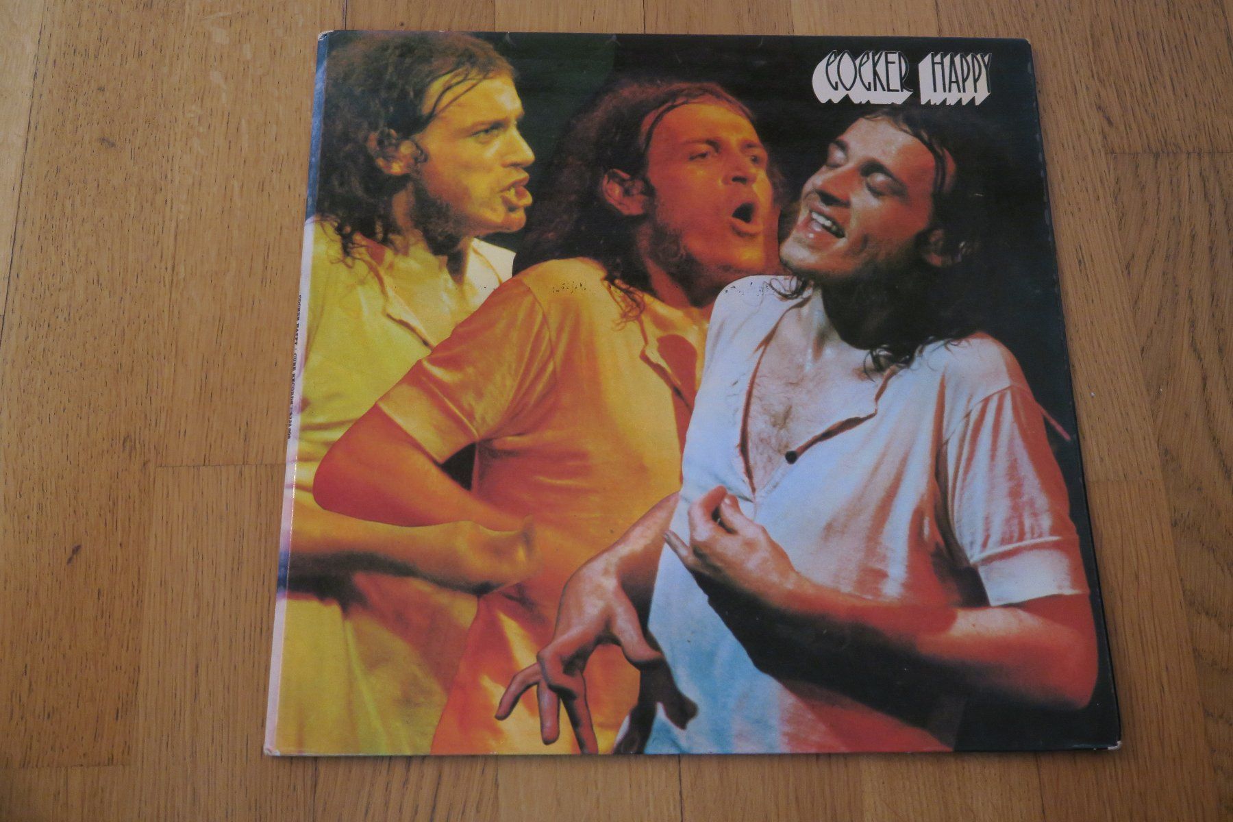 Dischi in vinile: Joe Cocker – Cocker Happy – Usato da Thun venduto da Karibu70