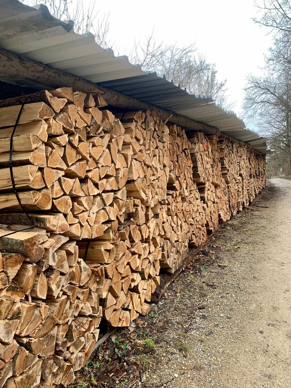 Articoli in legno: Brennholz Tanne – Nuovo (secondo la descrizione) da Vielbringen Worb venduto da lua_cm7v