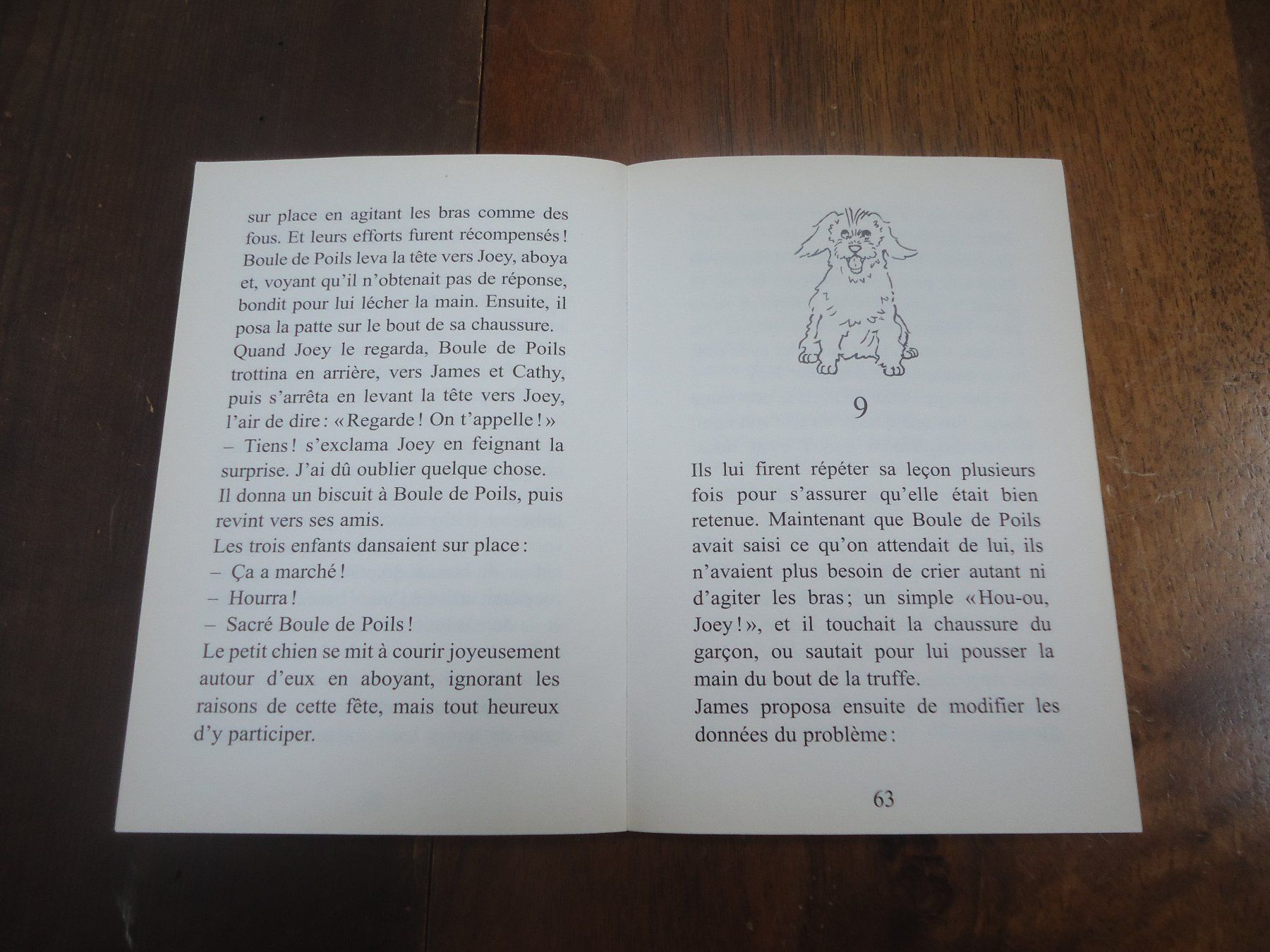 Libri: Dressons Boule de Poils – Usato da Vessy venduto da mafabe 2
