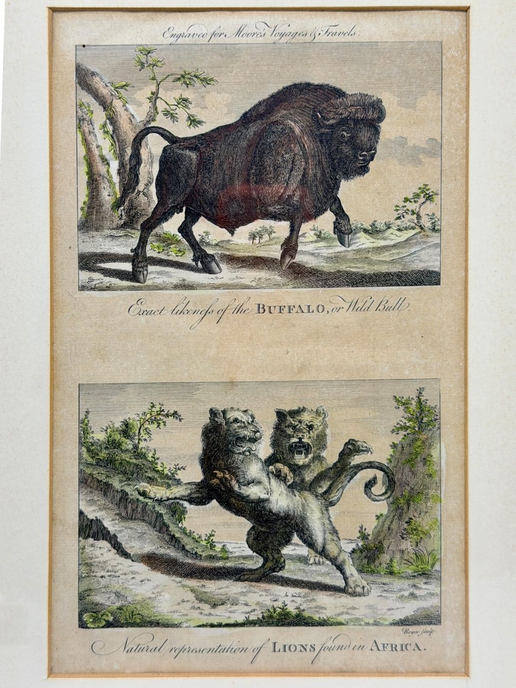Incisioni: John Royce - Ancienne gravure, vers 1778 – Usato da Morges venduto da mod_q7tt 1