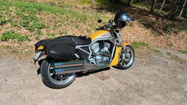 Harley-Davidson VRSCR Motorrad gelb Jahrgang 2007
