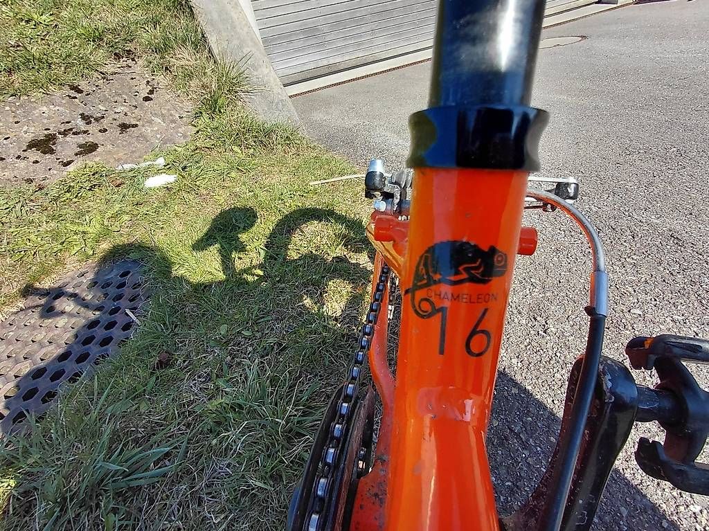 Biciclette: 16" Naloo Kindervelo  – Usato da Haslen venduto da min_t96r 1