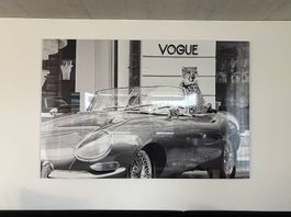 KARE Bild Jaguar