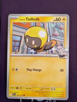 Iono's Tadbulb - Pokemon Ascended Heroes