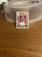 Haaland Gold Panini extra Sticker 