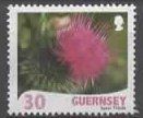 GUERNSEY : rote Strauchblume    (33