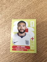 Panini Wm 2026 Eng 7