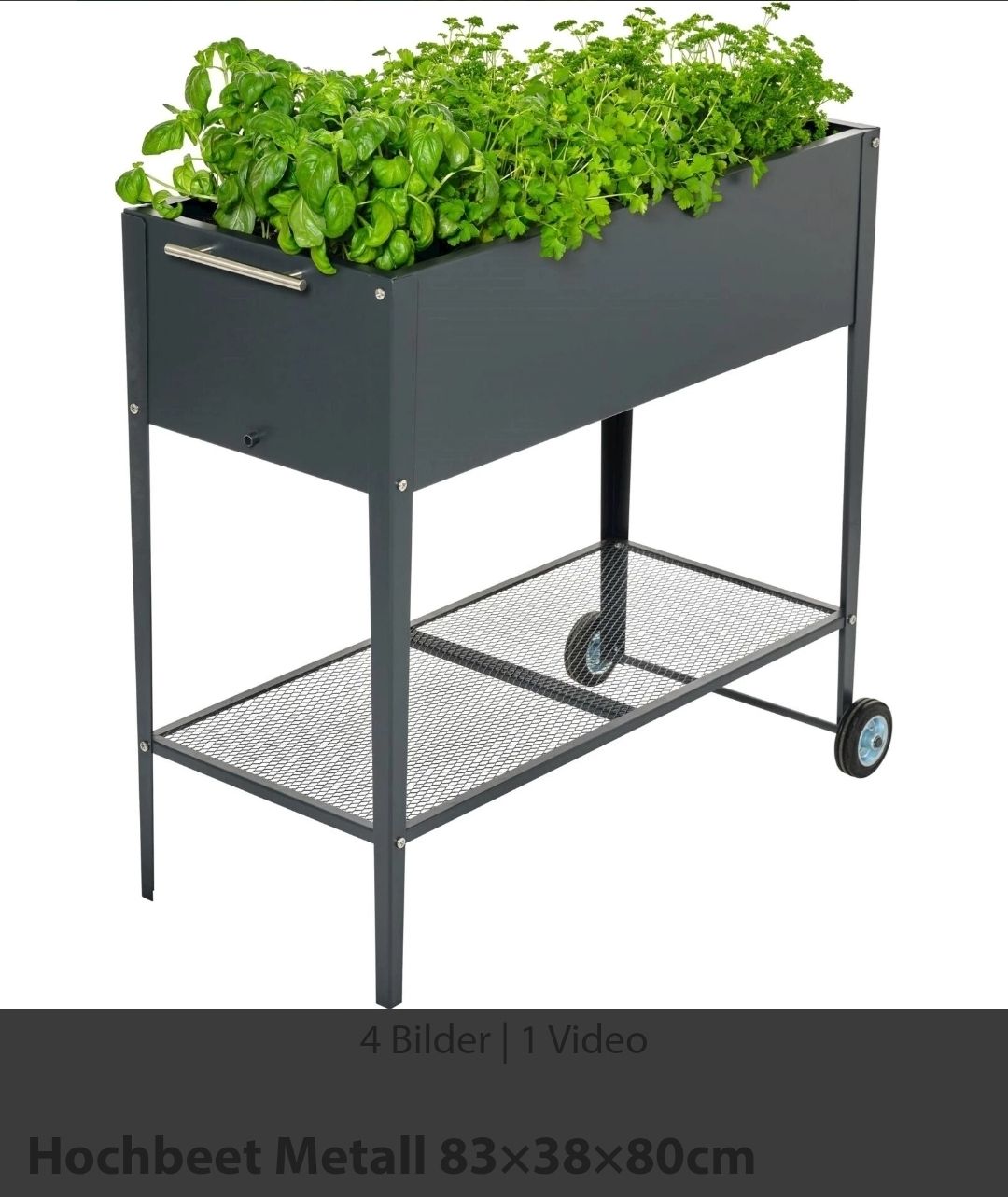 Vasi per fiori: Hochbeet (mit styropor) – Usato da Merenschwand venduto da ___niggi___ 4