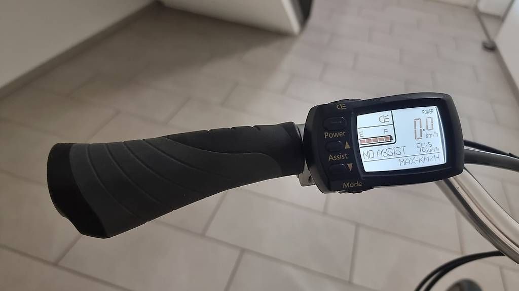 Velos: Flyer / E-Bike – Gebraucht aus Interlaken von han_5tdn 2