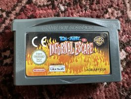 Gioco Game Boy Advance Tom & Jerry Infernal Escape Usato
